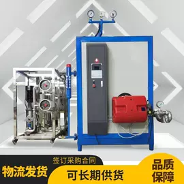 蒸汽发生器;燃煤锅炉;燃气锅炉