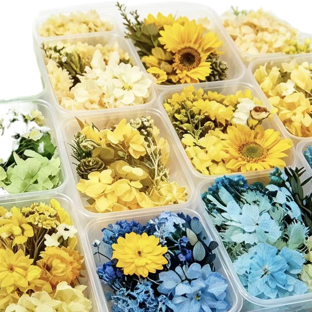 Eternal Flower DIY Materials, Dried Flowers, Handmade Custom Candle Accessories, Fresh Flowers, Valentine's Day Gifts, Qixi Festival Decorations, Wholesale