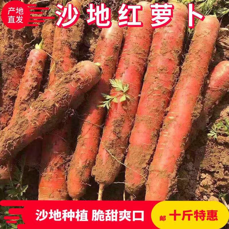 Shaanxi Sandy Fruit Carrots 5kg 3 Red Hearts Crispy Sweet Raw Fruit Fresh Carrots Sandy Vegetables 4.5kg
