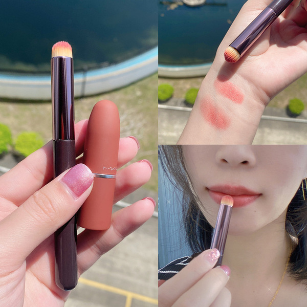 Beauty bloggers recommend multi -functional round head and lip brush…