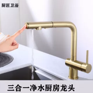 厨房抽拉式三合一净水器水龙头洗菜盆水槽多功能伸缩双开全铜龙头