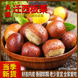 迁西县新安板栗专业合作社