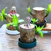 Brazilian Wooden Four Seasons Lucky Mu Gulurt Green Plant Potted Tree Tree Trees with Bud Indoor Hydroponic Plants