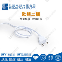 VDE����A��W�޶���2*0.75ƽ��AC���^�Դ��β��C7����β�˿�