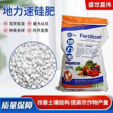 ���ƹ�� ��N�I�BԪ��ƽ�������{�턩�V���|�r���w���~��ʹ��