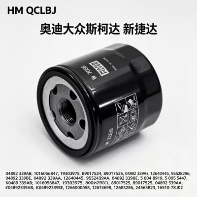 Oil filter and Skoda car oil