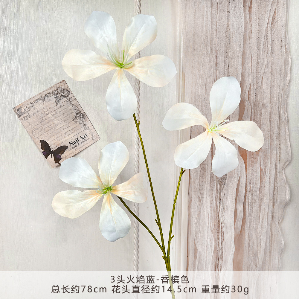 FY-3头火焰蓝-香槟