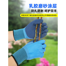 �@ˇ���׷��̷�ˮ�N���¼��@�ַNֲ��ˇ���׷������o�N�˰�