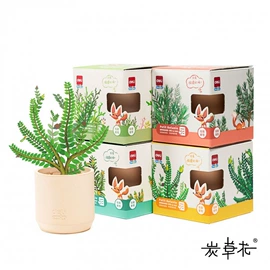 盆栽;科学实验玩具;创意礼品套装