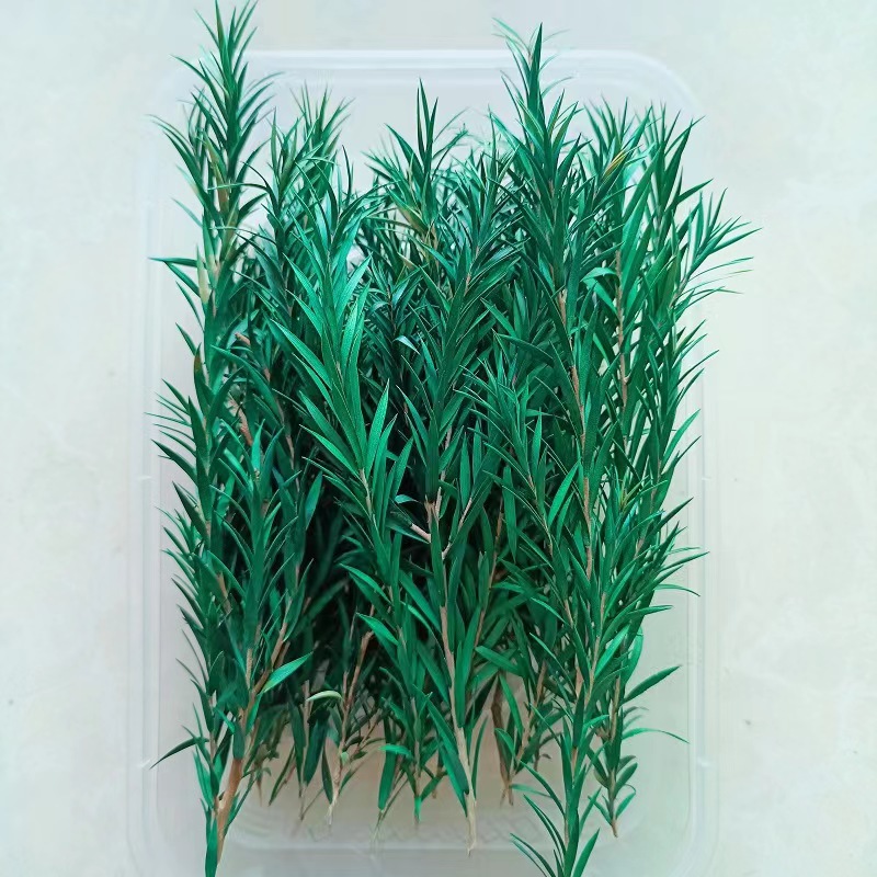 Festival bricolaje hecho a mano material de flor eterna planta flor seca florero flotante aromaterapia flor seca abanico de material paquete al por mayor