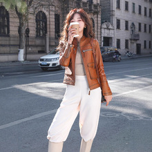 海宁新款真皮绵羊皮2025年短款女修身立领皮夹克真皮外套