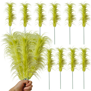 �F�U�}�Q������Gë�ֲ�֦�}�Q����֦�����bGëë�q��֦������