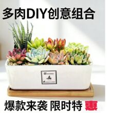 �k���Ҷ������� ������Xǰ�Gֲ�������B�M��diy���s�ɐ��҃Ȅ���