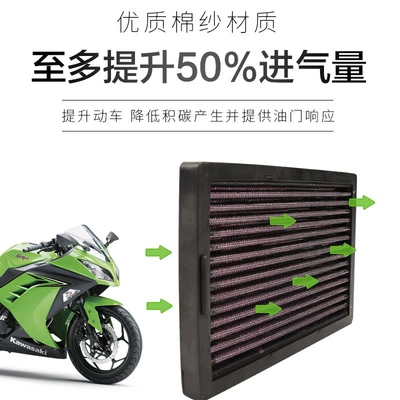 Kawasaki Ninja NINJA EX250R Air filter