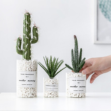 仿真多肉仙人掌仙人球植物盆栽ins北欧风客厅办公室绿植盆景摆件