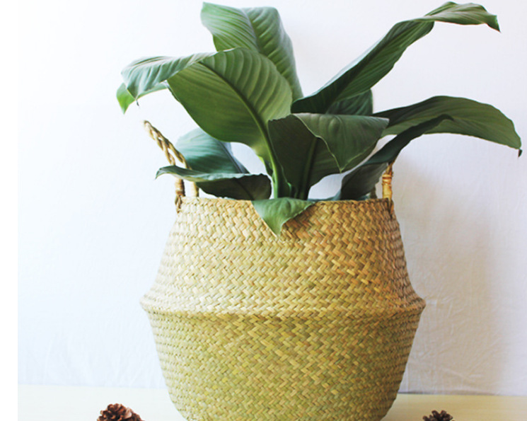 微信截图_20221220225426