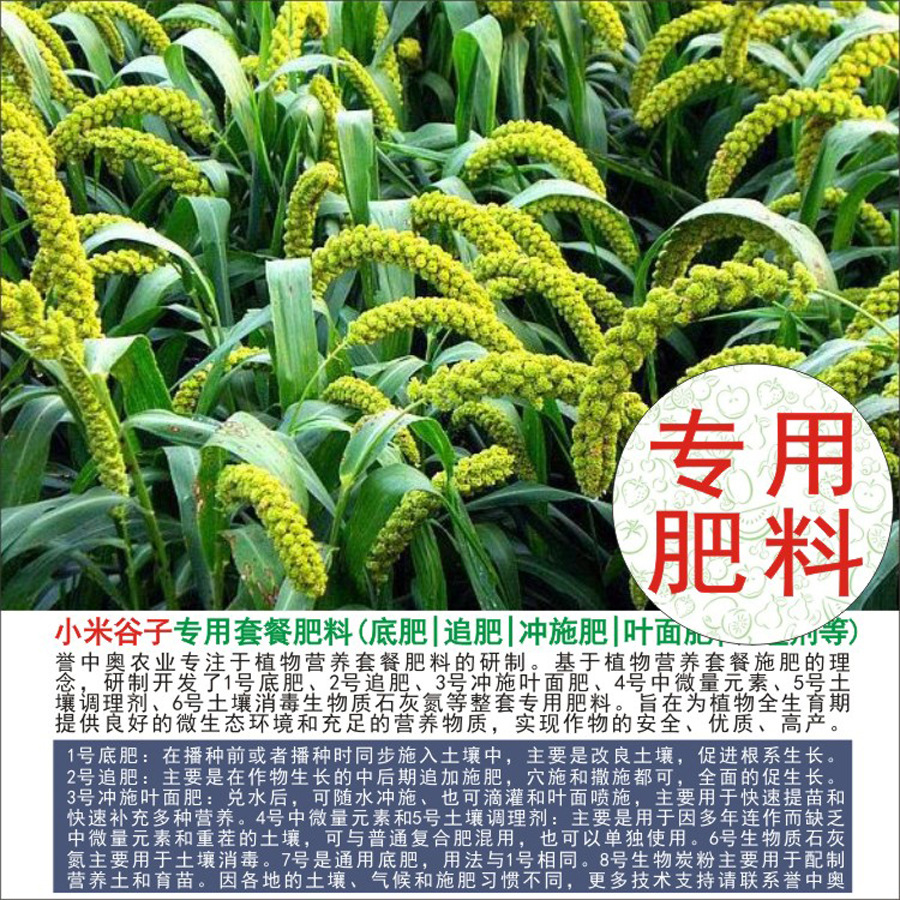 50�����а�С�׹���ר���л��ʸ��Ϸʵ׷�׷��Ҷ��ʳ�ʩ��ˮ��