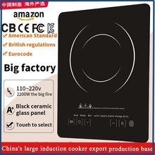 �羳늴Št�����Ж|Induction cooker�|�ρ�����늠t���Q�S��110V