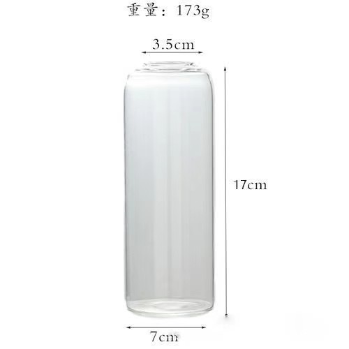 Vaso de vidrio decorativo transparente nórdico ins viento sala de estar decoración creativa vasijas de vidrio flores secas al por mayor hidroponic