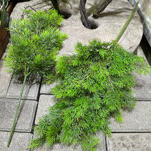 ��Ʒ�ɰ��~���������}�Q�b��~����������°��쾰���~�S�����l