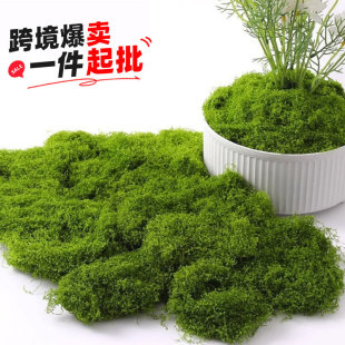 ����̦�\��̦�쾰�����ٲ�Ƥ΢���^���Ô[����ƺ�����辰