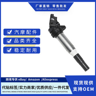 Factory Price 12138611236 Ignition Wire Suitable for Bmw Bmw550Igt2017 Bmw650I2017-2019