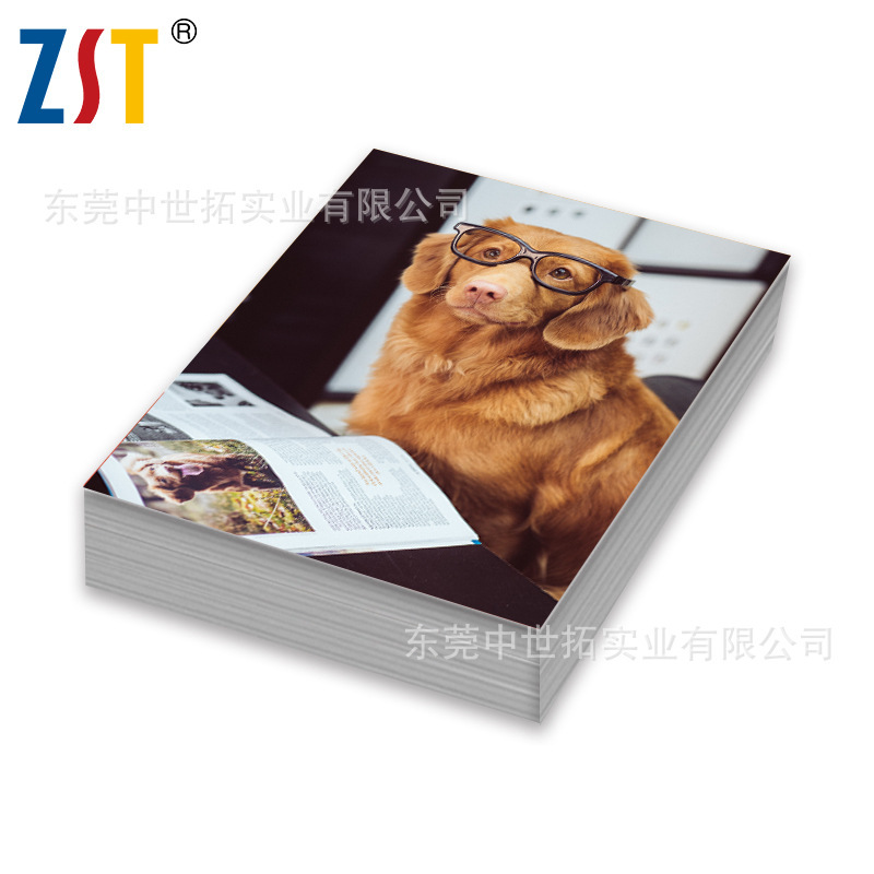 Zhongshitu Rc High-Gloss Photo Paper Dongguan Factory Specializes in Producing and Wholesaling A4A3 Waterproof High-Gloss Pearl Surface Photo Paper Rolls
