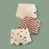 Little boy/3 pack