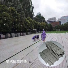 快速拼装压草板运动会保护跑道运动地板演唱会地板草盖板厂家批发