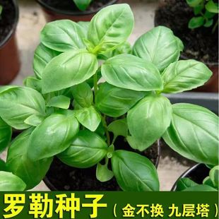 �Ō����_�շN�ӷN�������_���̨�ļ����Խ𲻓Q��ݾų������~