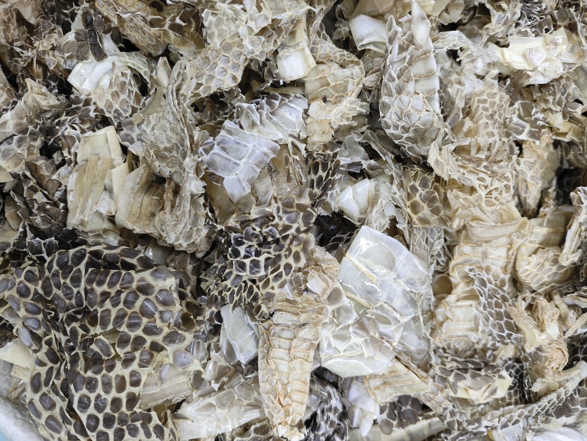 She Tui (Snake Slough) — Dried Shed Snake Skin, Traditional Chinese Herb, 500g specifications