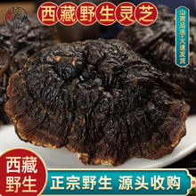 Ұ`֥زxb500ȻoϲRŰ֥ˮݾ