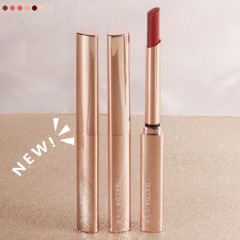 HLLR small tube lipstick moisturizing lipstick makeup cosmetics long-lasting lipstick wholesale dropshipping live broadcast