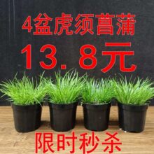 4�転����Ѽ�ɽ���Ѳ������辰�U�����ˮꑸמ�����΢���^�ز�