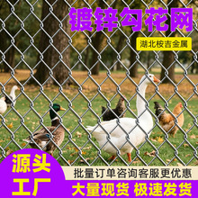 防锈镀锌勾花网果园菜园农村家用热镀锌铁丝网围栏边坡防护钢丝网