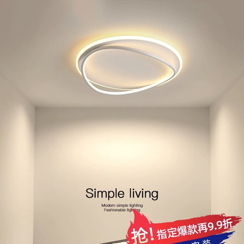 Bedroom lamp Nordic light luxury LED ceiling lamp master bedroom room study dining room lamp simple modern Oval lamp
