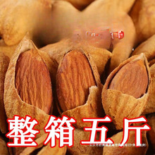 �ք����Ͱ͵�ľ�����b���]�½�ɢ�b̹ľ���������ʈԹ���ʳ500g1g