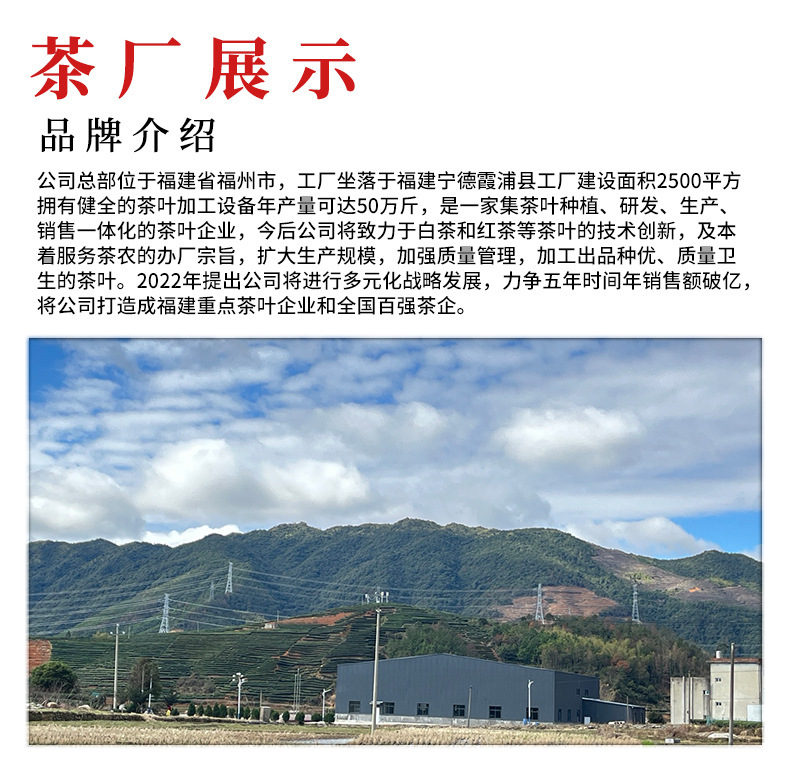 茶厂介绍_01(2)