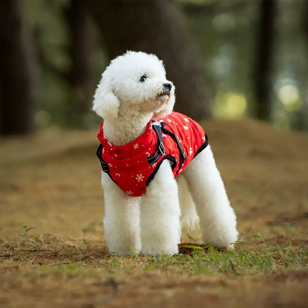 跨境圣诞宠物衣服中小型犬狗狗棉衣反光加厚保暖狗服装批发