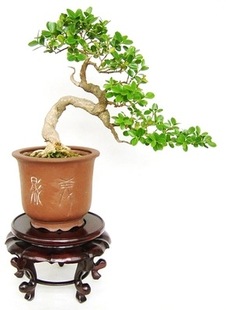 �����S���辰 ΢���S�� С�~�S������ �����辰�������� ���]