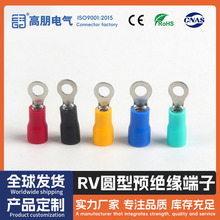 RV�A���A�^�����^ �䉺�Ӿ������䉺�~���� O���S�~�����ӽӾ���