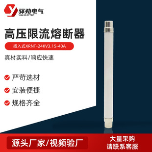 Plug-in high-voltage current-limiting fuse XRNT-24KV3.15-40A high-voltage current-limiting fuse