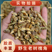 槐角中药材正宗野生槐角槐豆槐实泡茶水胶质饱满正品无硫新货包邮