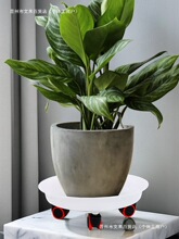 �����бP��݆���мӺ��֬�Ƅӻ�݆��ˮ�P�f��݆�A�ΝL݆���ϵ���