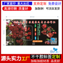 ��ӆ���OӋ��̨����Ҙ˺�܇�����̘��N��֦����Ц��÷�{ݮˮ���N