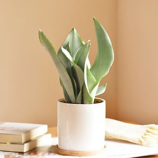 ����Ƥ�m�մ������҃ȾG�������՚�Gֲ�����̨���ܿ͏d���B