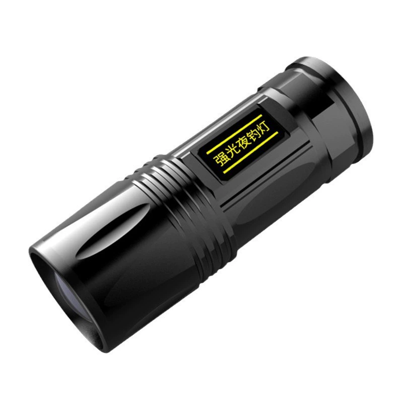 Light source, lamp, LED travel lantern