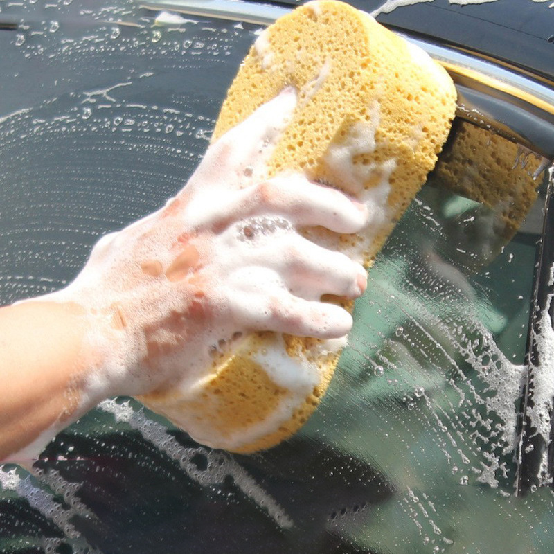 8 단어 스폰지 두께 6.2cm