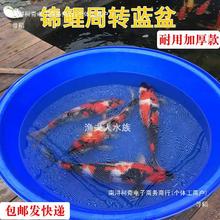�\���{��չʾ���{ɫ���ϴ�����x�~���y���蕺�B����ˮ��A��