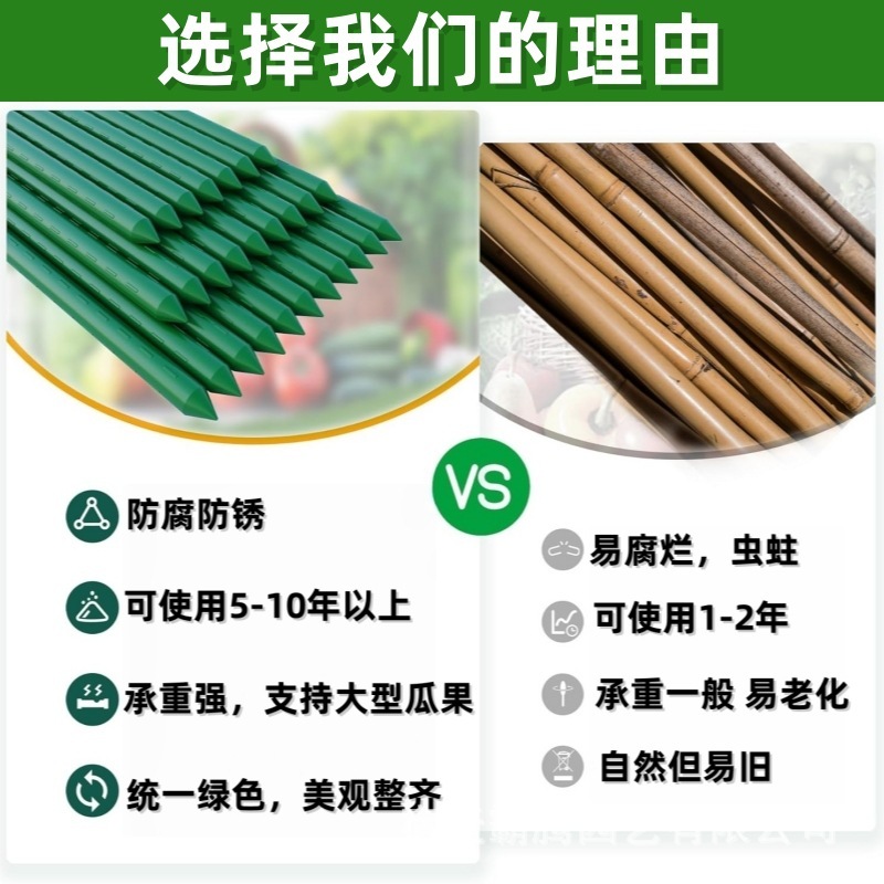 植物のつる茎用支柱、ヘチマ、キュウリのつる茎用支柱、プラスチックコーティングされた鋼管、インゲン豆の支柱、バラのつる茎用支柱|undefined